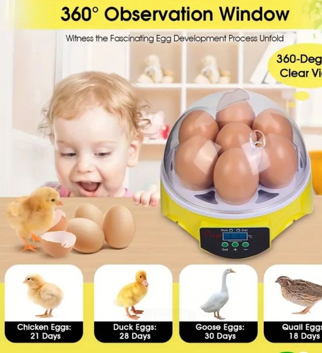 Чудовий міні інкубатор