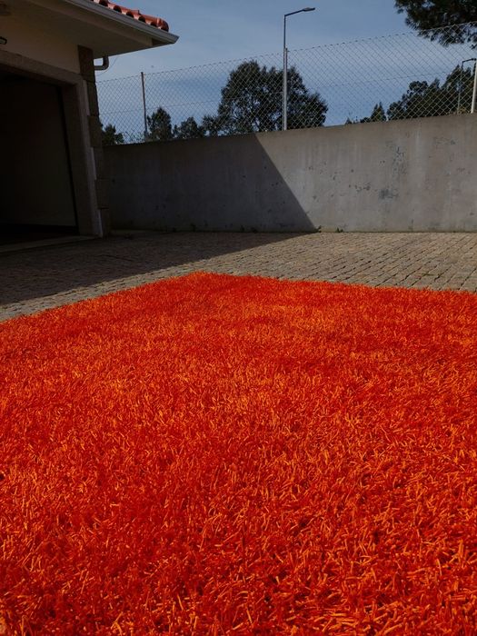 Carpete  2.20 por 2.40