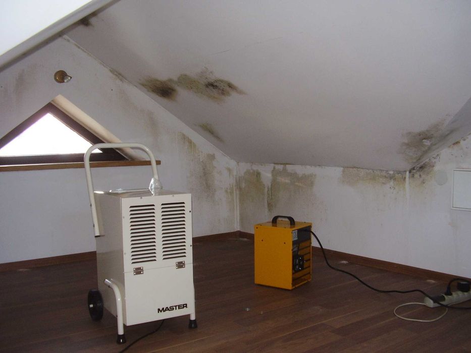 Osuszacz powietrza, wynajem osuszacza, osuszanie, badanie wilgoci