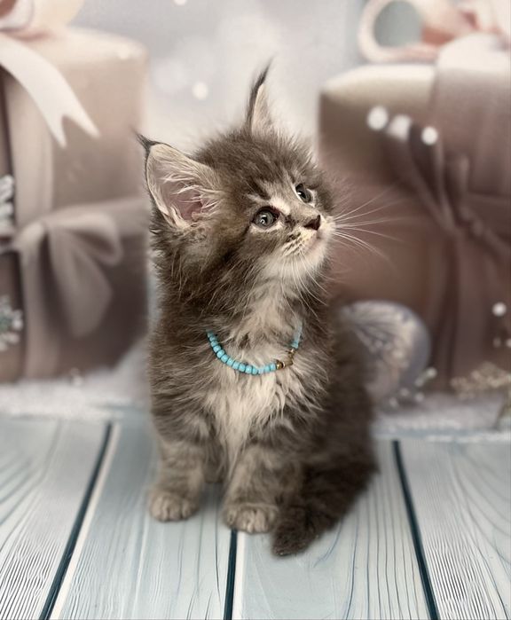 Три девочки в голубом окрасе