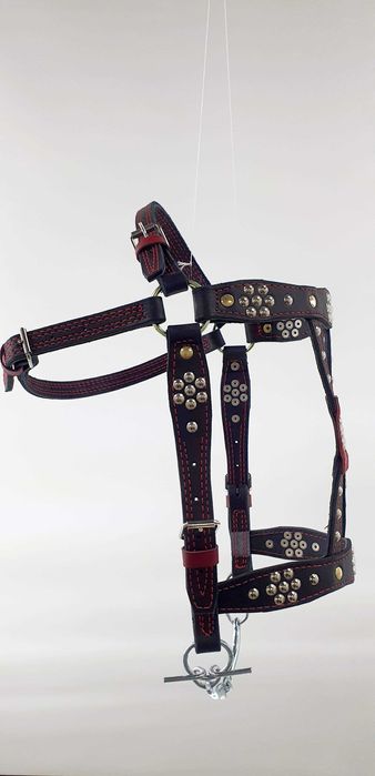 Уздечка на коня,капейстра