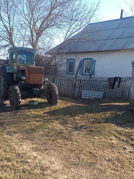 Продам трактор Т-40 АМ