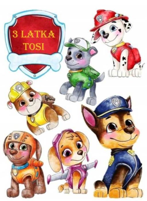 Wydruk jadalny, obrazek na tort, wydruk z masy cukrowej format A4 (A3)