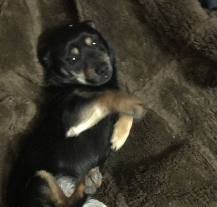 Приму ненужные старые вещи