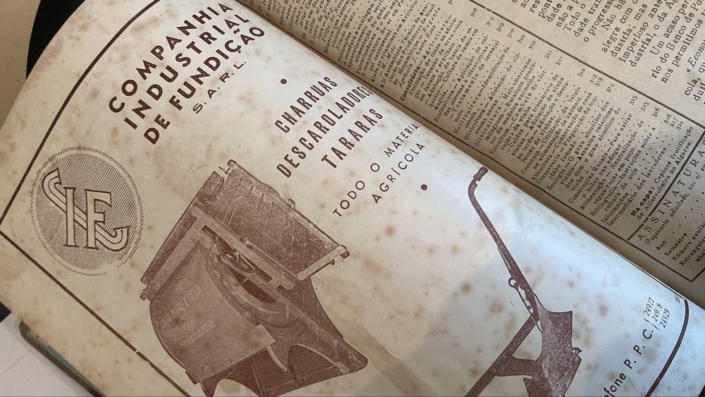 Livros Gazeta das Aldeias