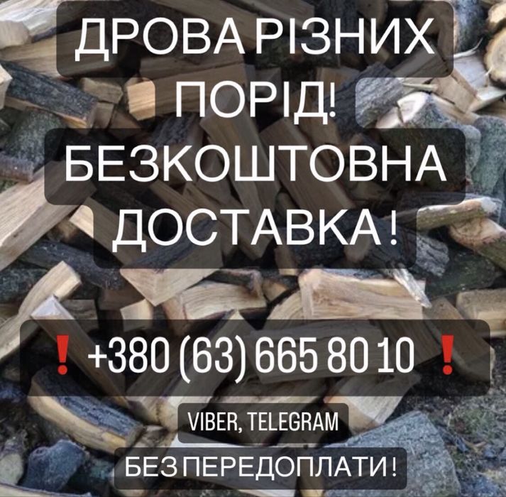 Соснові дрова 1300