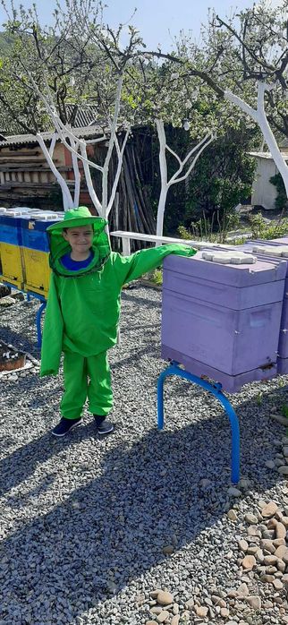 Бджоломатки карпатка, карніка сезон 2026