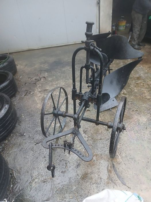 charrua grande antiga ideal para decoração