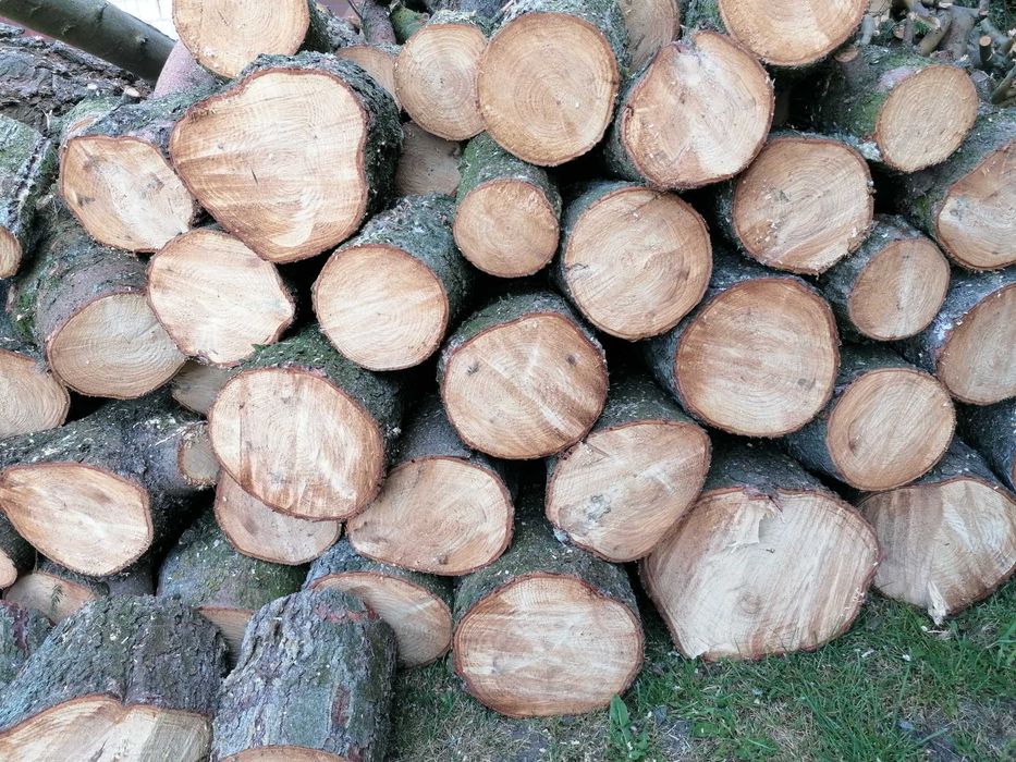 Drewno opałowe Sosna i wierzba