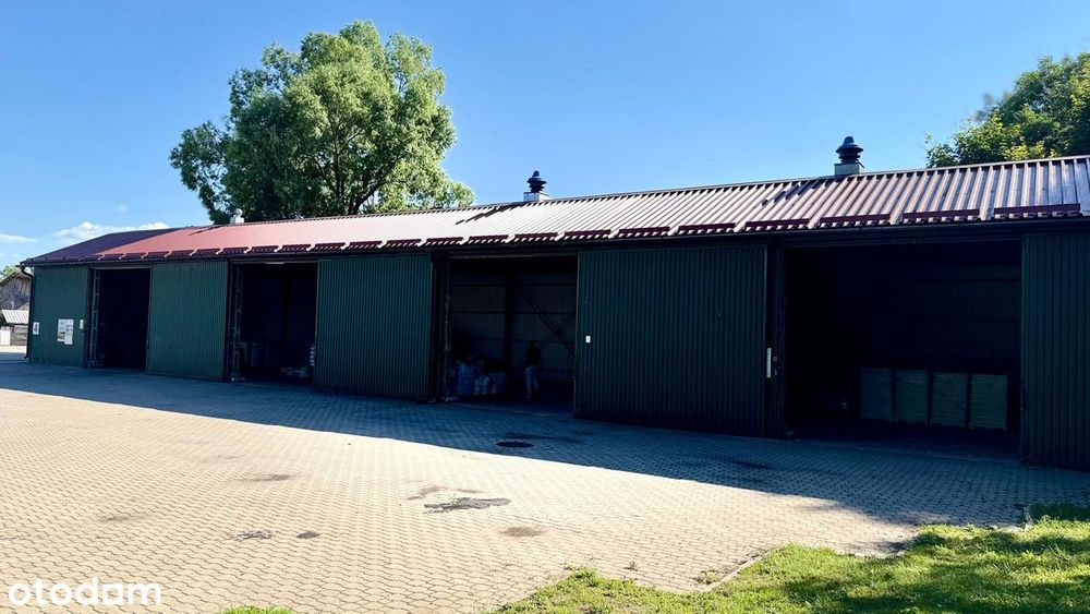 Hala magazynowa wynajem 390m2 różne konfiguracje, teren monitorowany