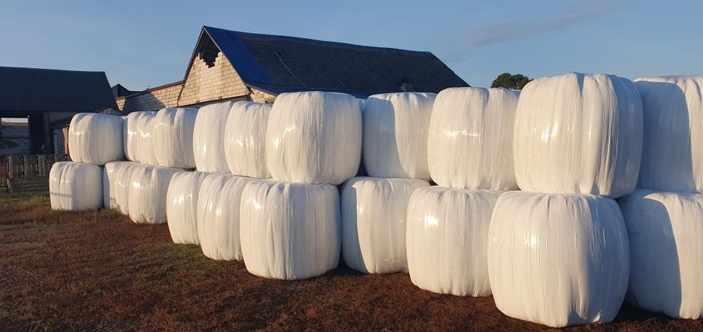 Sianokiszonka w belach