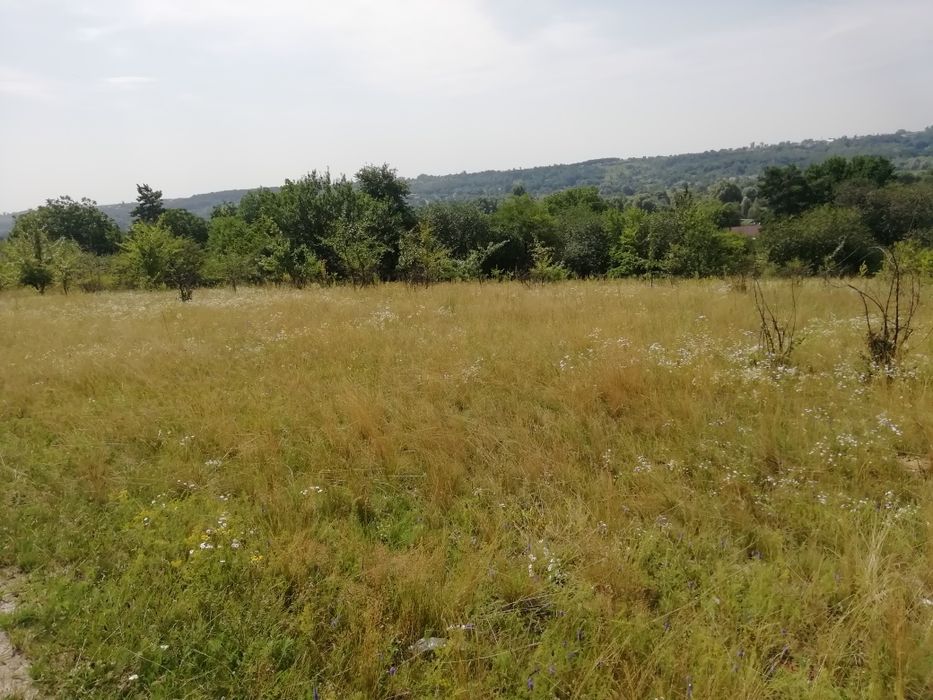 Продам земельну ділянку Здорівка Васильківський район. - Вид 5