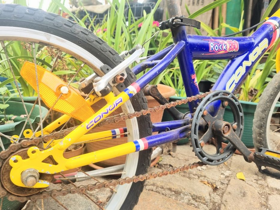 Bicicleta (6-8 anos)