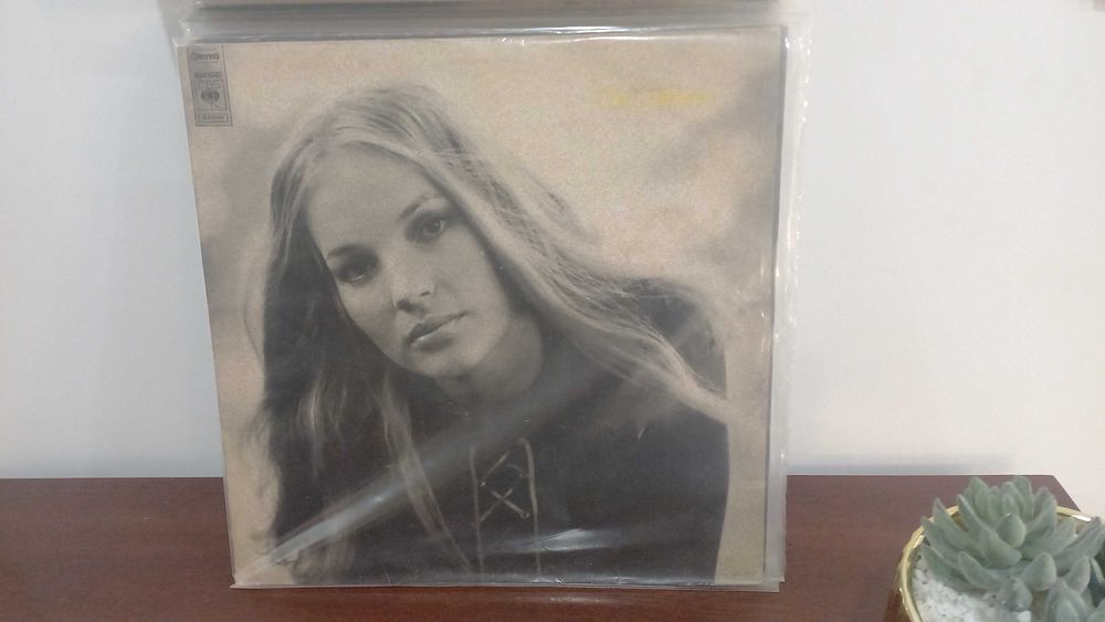 Discos de vinil rock fado soul e outros