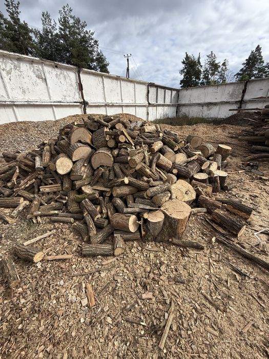 Продам дрова тведих порід дуб акація