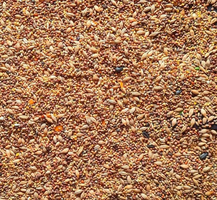 Karma dla ptaków papug 25kg