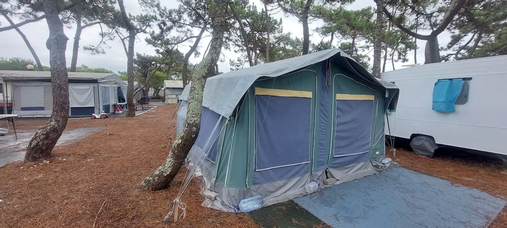 Autotenda saurium