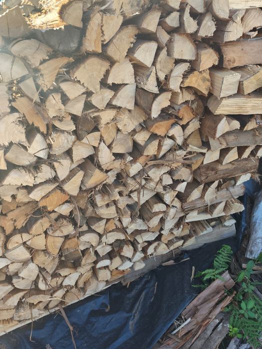 Venda de lenha com qualidade