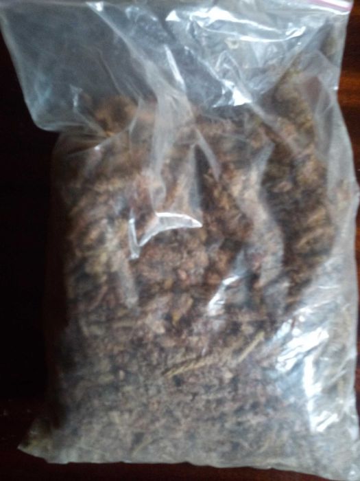 Zioła suszone na wagę