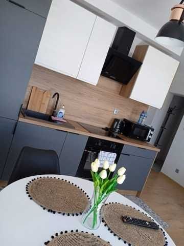 Katowice nowe duże apartamenty! Także na godziny !