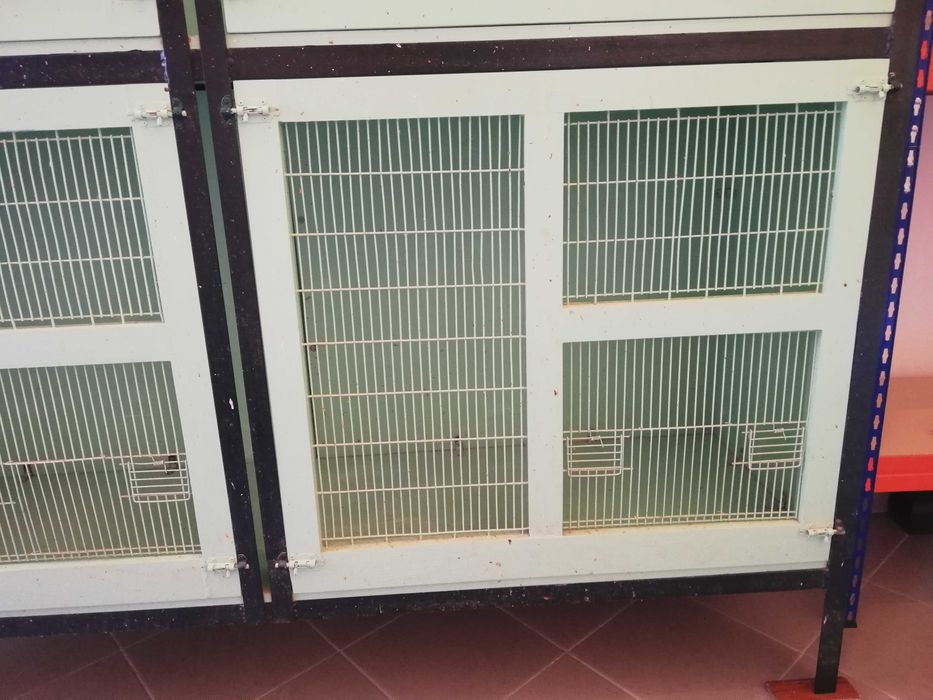 Voadeira para aves – prática e resistente