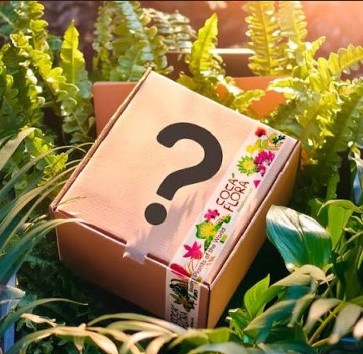 Mystery box odzież ubrania sieciówek nowe bez lub  z metką