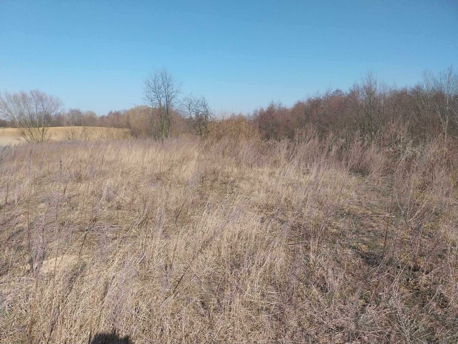 Działka budowlano-rekreacyjna 2900m2 nad jeziorem z linią brzegową