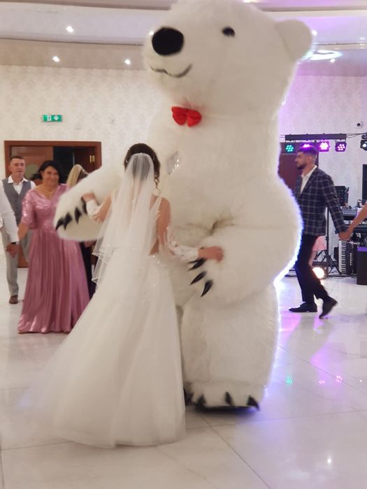 Cieżki Dym, Fontanny,Wiatraki iskier, Flary ,VIDEOBUDKA 360,Biały Miś