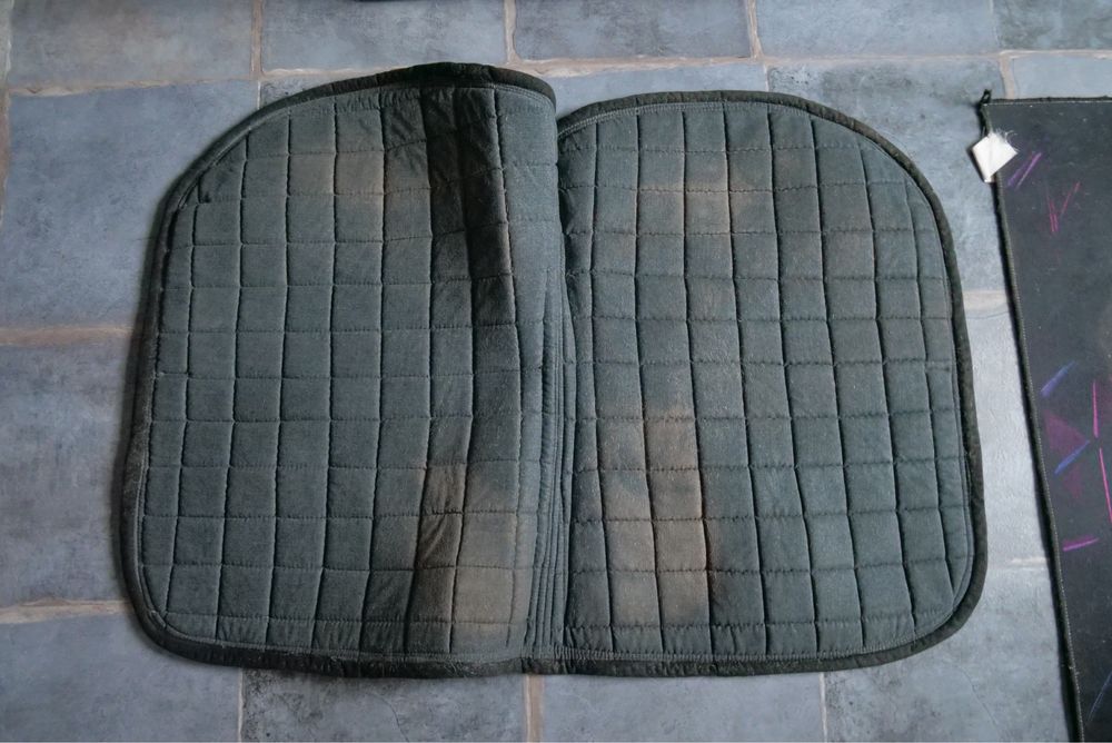 Trzy czapraki wszechstronne