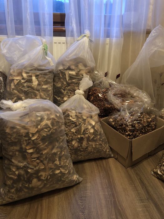 Продам сушені та консервовані гриби