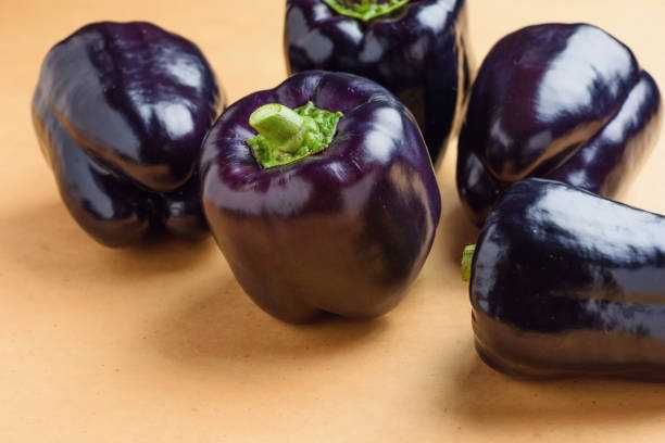 Pimento Roxo Zulu 10 sementes