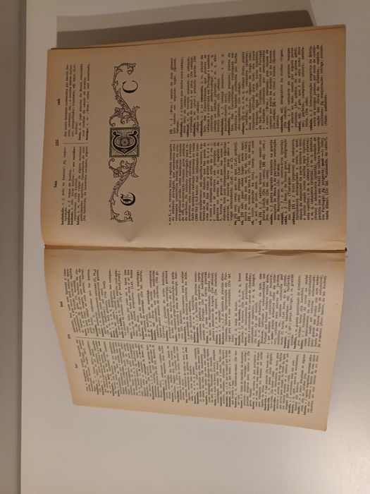 Dicionário da Língua Portuguesa