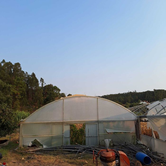 Estrutura metálica estufas usadas, em bom estado