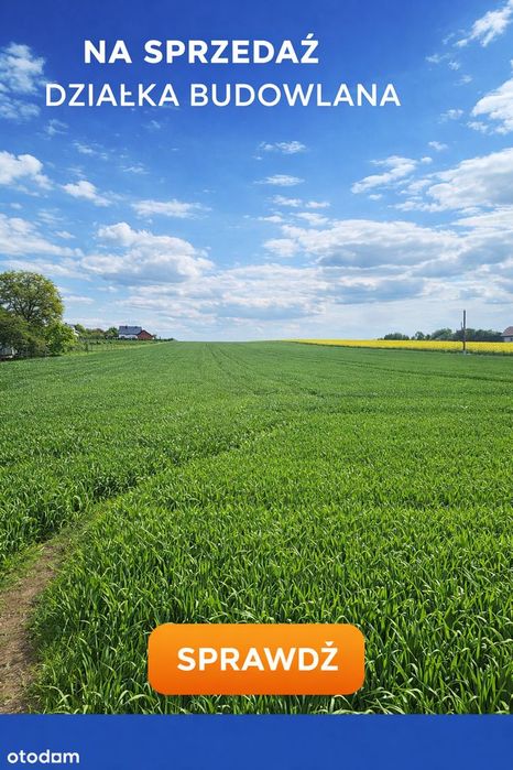 Działka Rzeplin 8 arów