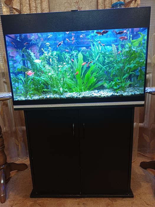 Продам акваріум 140 л