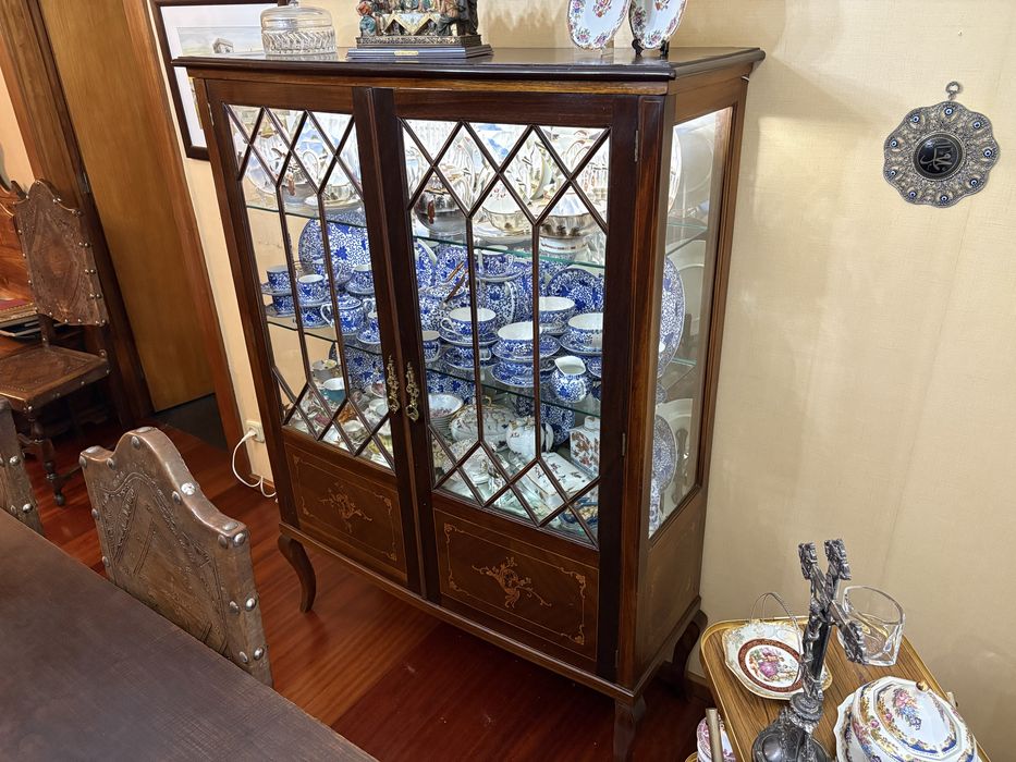 Vitrine Expositor Eletrificada