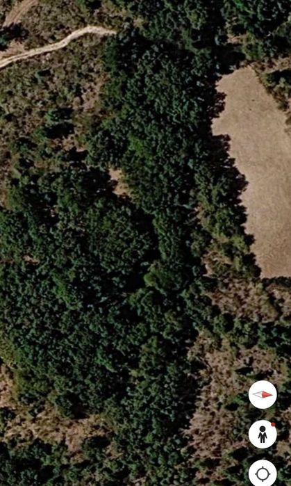 VENDE-SE LENHA E MADEIRA - Carvalho, Pinheiro Grosso e Vidoeiro - Do Terreno Direto