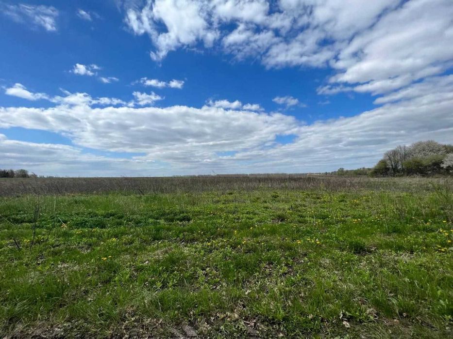 Продам пай землі 5,23 га в Дніпропетровській обл.,Кам'янський р-н.,с.Новомиколаївка.