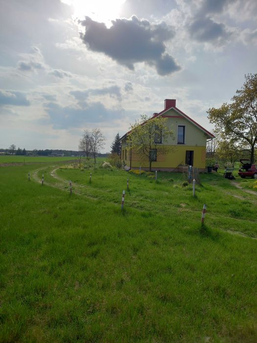 Sprzedam dom/ siedlisko/niedaleko od Łodzi - Widok 4