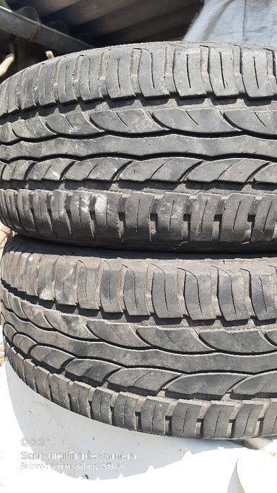 Шини  205/55/16 SAVA пара 650грн/шт