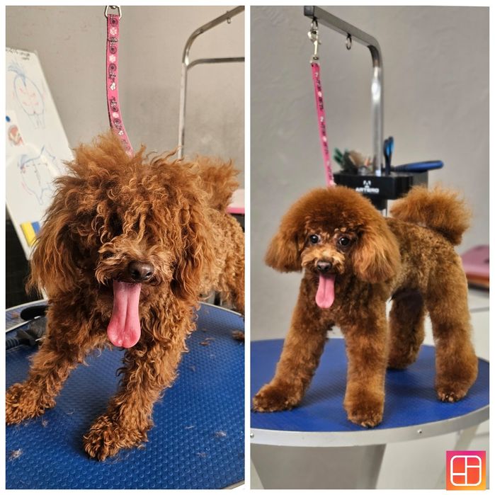 Модели на груминг