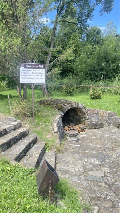 Будиночок в Карпатах ,біля лісу