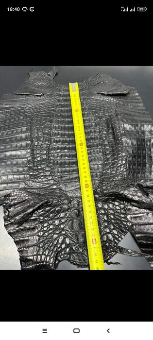 Кожа крокодила длина 70--80см