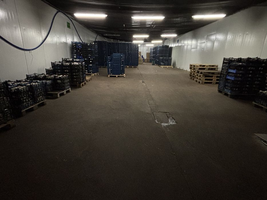 Magazyn, chlodnia, przy trasie S8