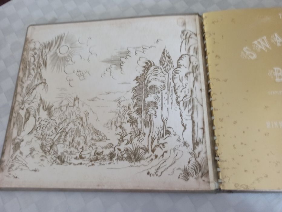 O lago dos cisnes livro e vinyls