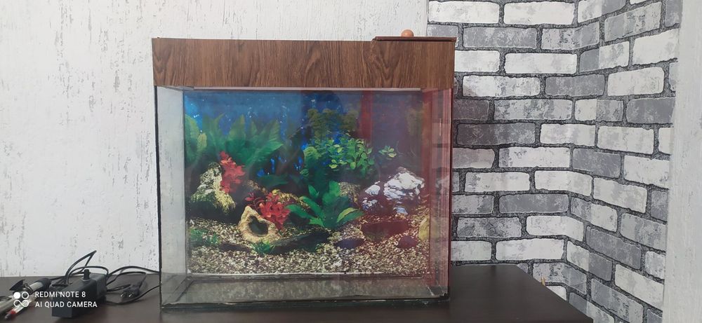 Акваріум 65л. 60×54×20