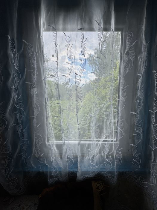 Продаж окремого будинку в с. Майстрів