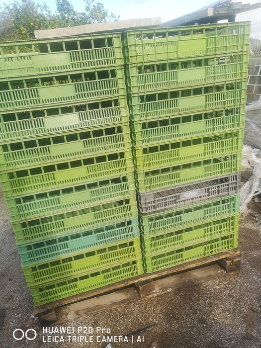 Caixas Plástico ótimas para diversos tipos de arrumação