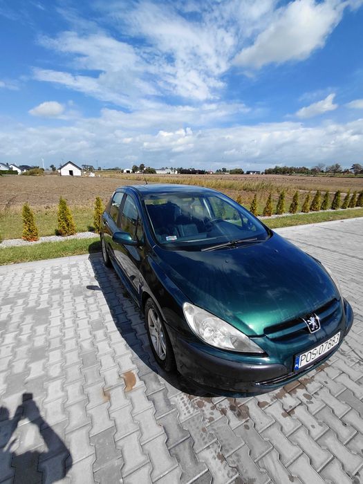 Peugeot 307 1.6 16V2001 r.