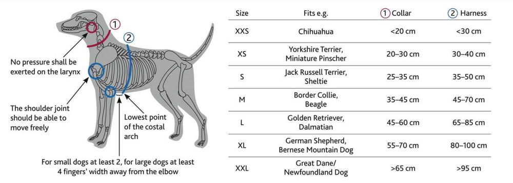 NOVO - TRIXIE Peitoral Premium, Arnês de Fita, 7 tamanhos e 15 cores